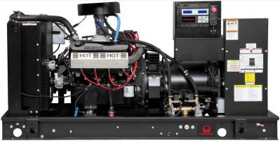 Газовый генератор Pramac GGW150G в контейнере с АВР 